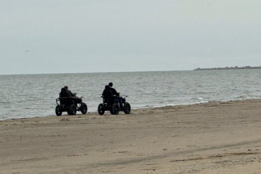 terrain hopper - overlander (17)